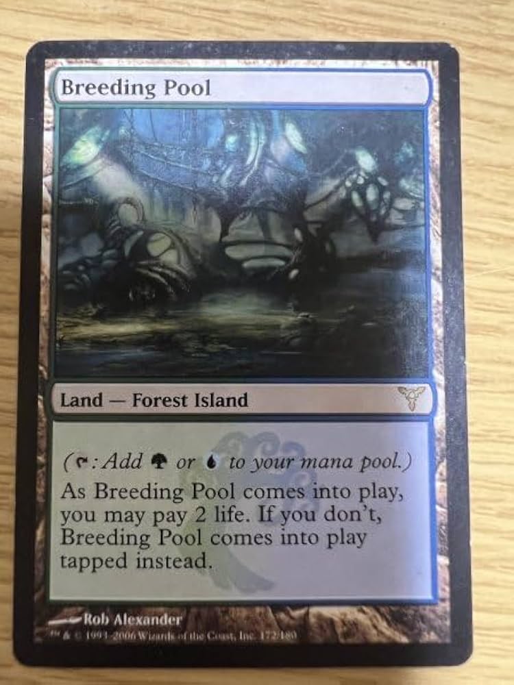 繁殖池/Breeding Pool  DIS英語foil MTG Foil 繁殖池 Breeding Pool ギャラクシー 英語 繁殖池
